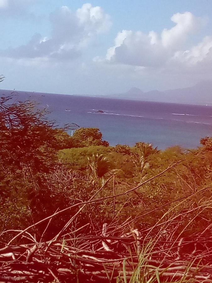 Villa Tournesol D Or Le Gosier  Dış mekan fotoğraf