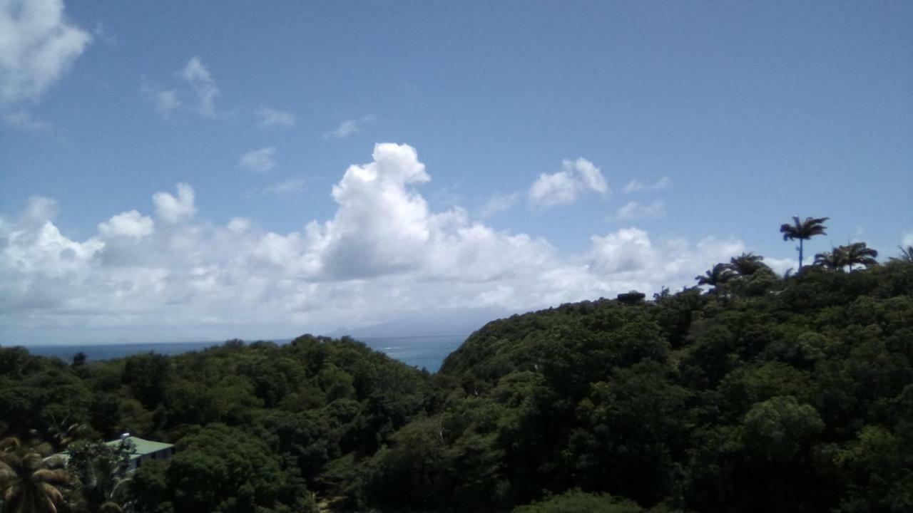 Villa Tournesol D Or Le Gosier  Dış mekan fotoğraf